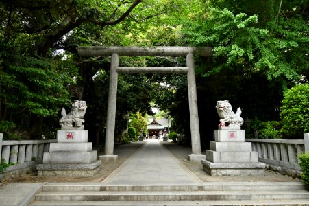 Sakitori-jinja, keidaitorii