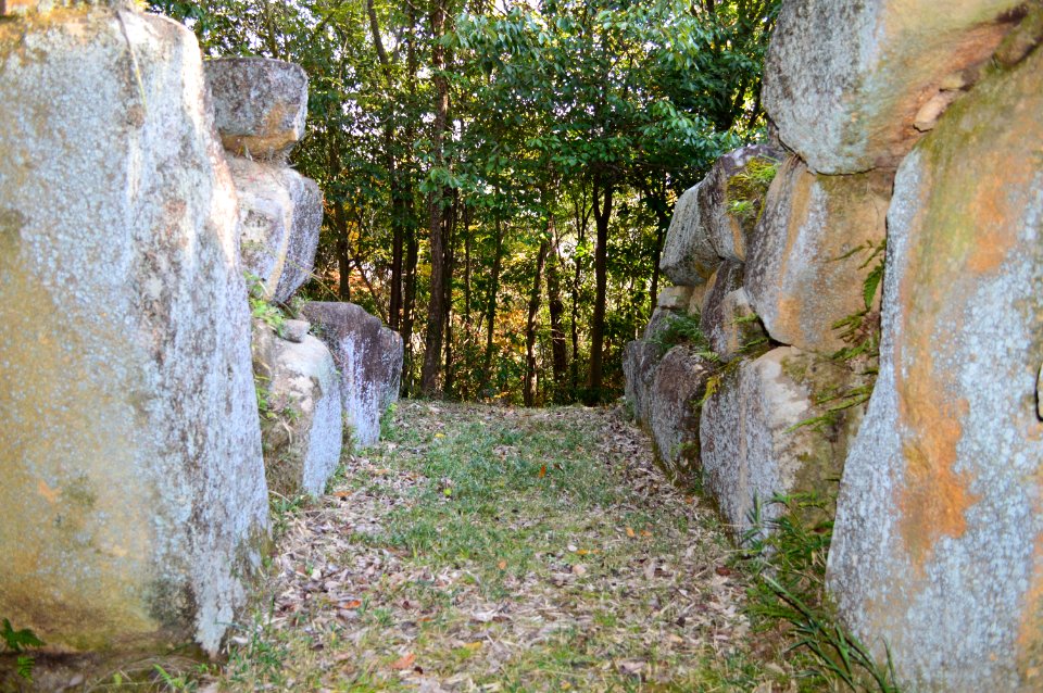 Sakoyama Kofun Group-1, sendou