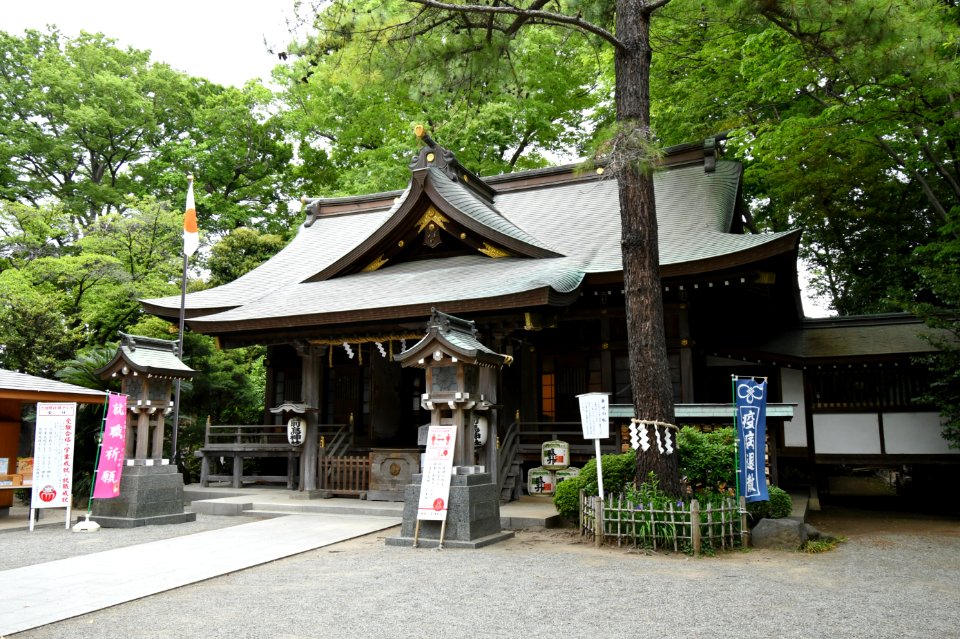 Sakitori-jinja, haiden-3
