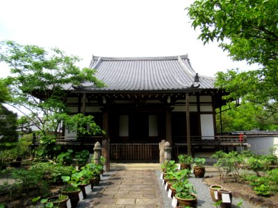 Saiun-in 004