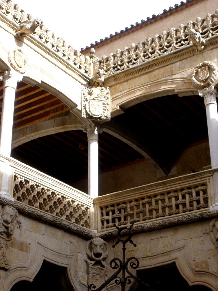 Salamanca - Casa de las Conchas 29
