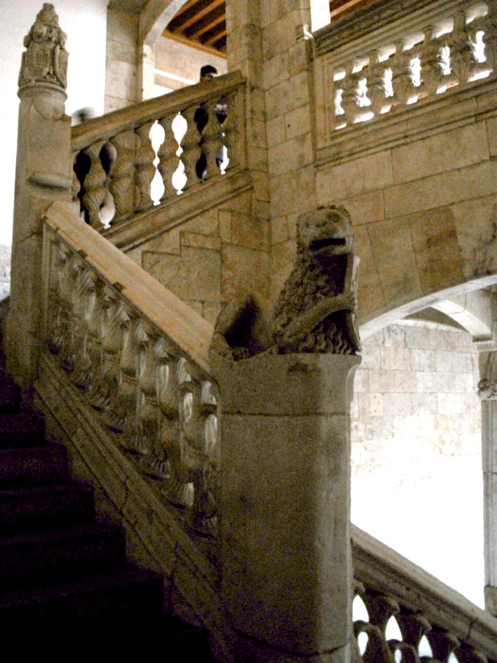 Salamanca - Casa de las Conchas 24
