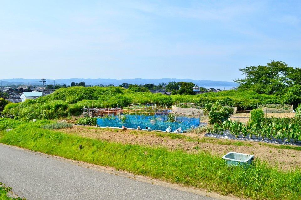 Sakuradani Kofun Group (Takaoka)-1, funkyu