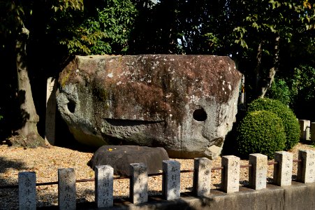 Sairin-ji (Habikino), shinso