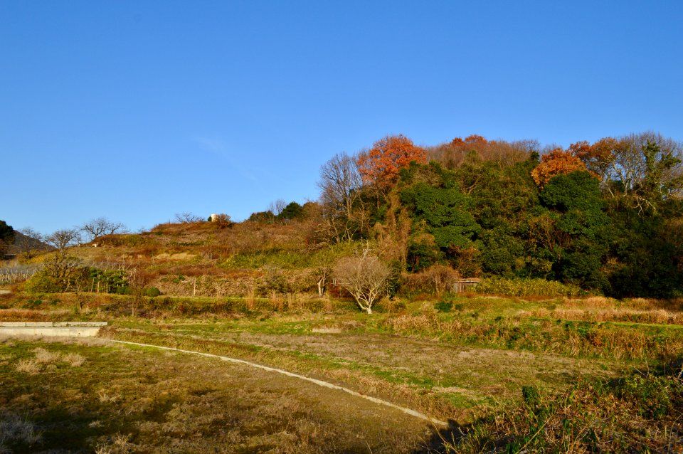 Sakota Douzan Kofun, zenkei
