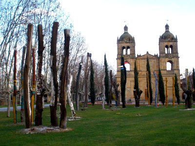 Salamanca - Bosque de Olmos