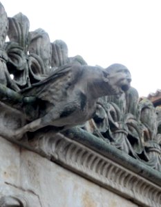 Salamanca - Casa de las Conchas 19