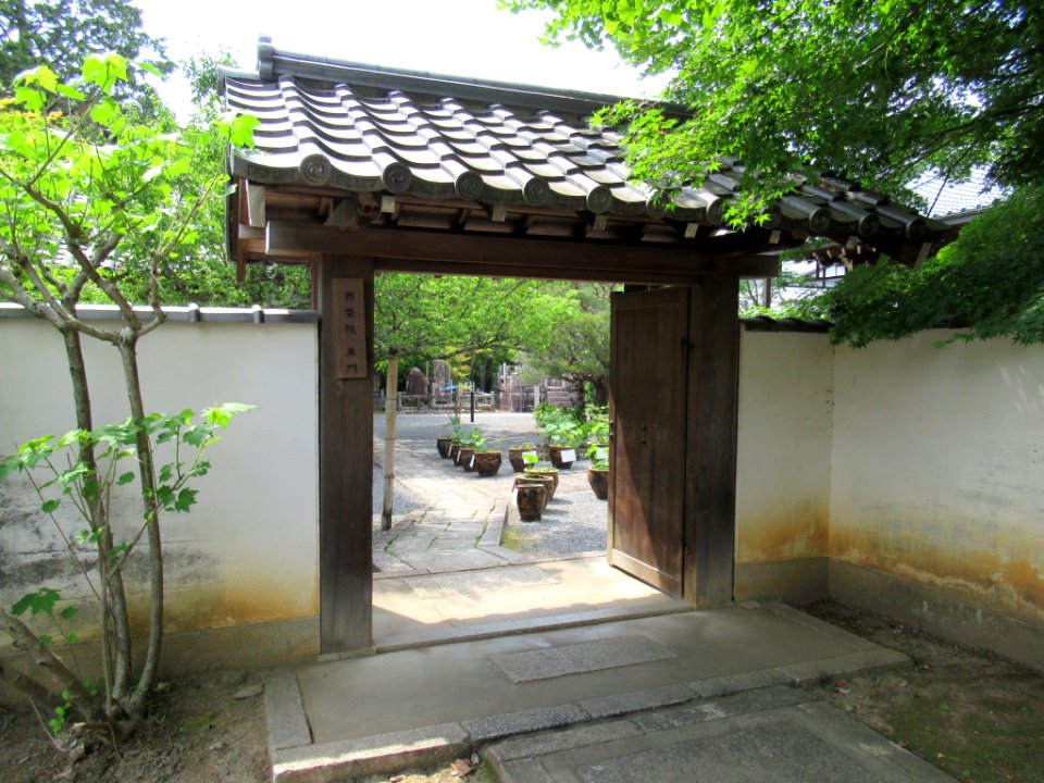 Saiun-in 005