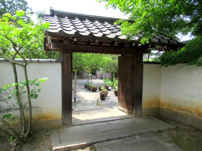 Saiun-in 005