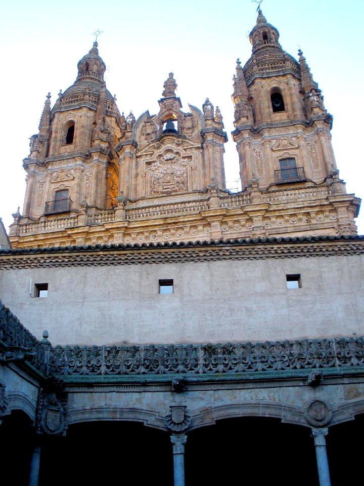 Salamanca - Casa de las Conchas 15