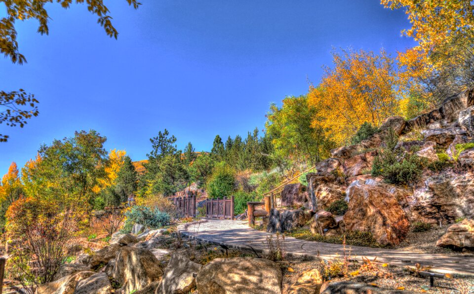 Bridge foliage nature