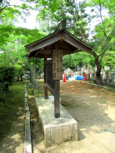 Saiun-in 009