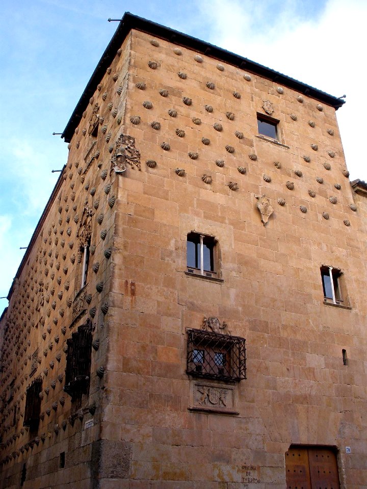 Salamanca - Casa de las Conchas 02