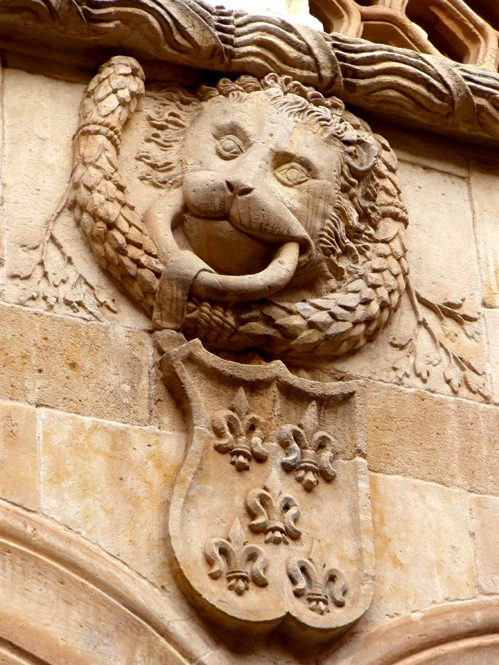 Salamanca - Casa de las Conchas 13