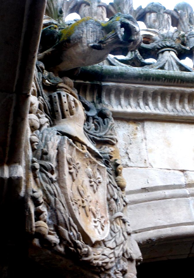 Salamanca - Casa de las Conchas 18