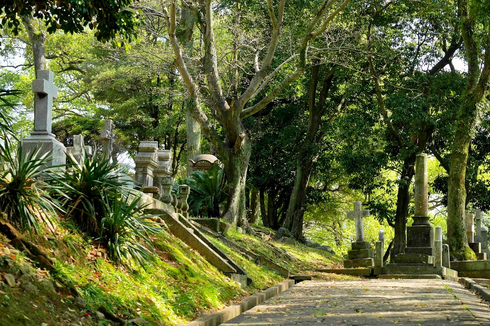 Sakamoto international Cemetery 2017