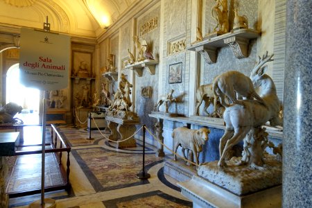 Sala degli animali - Museo Pio-Clementino - Vatican Museums - DSC00984