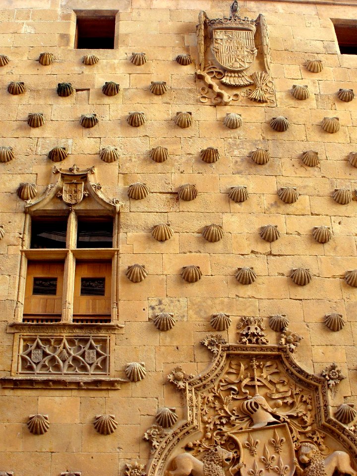 Salamanca - Casa de las Conchas 08