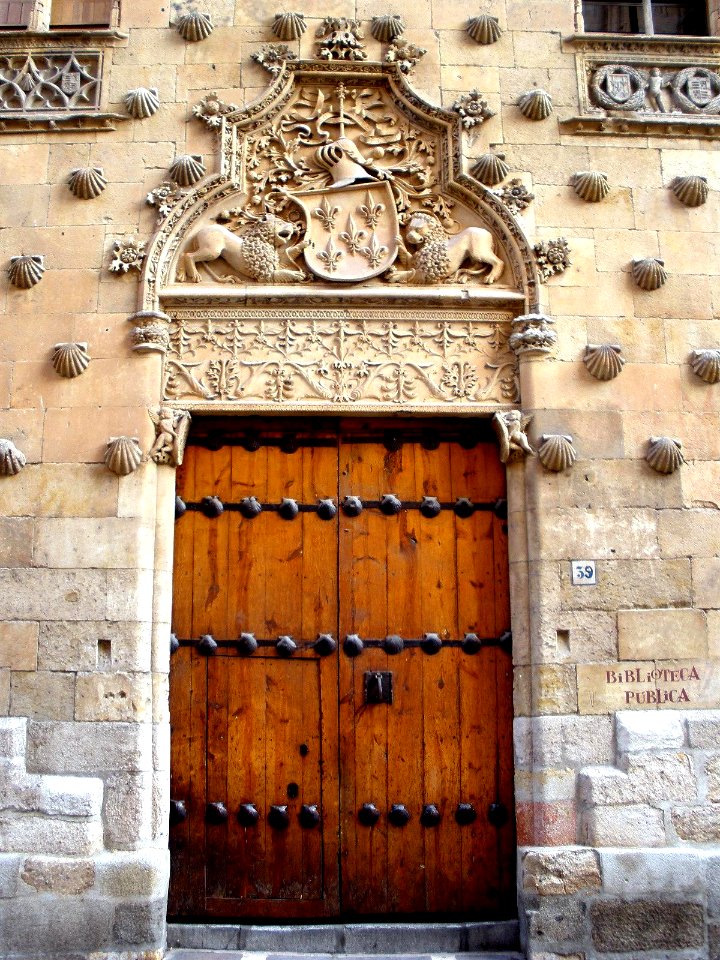 Salamanca - Casa de las Conchas 07