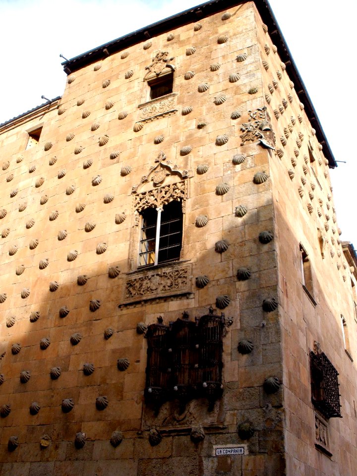 Salamanca - Casa de las Conchas 03
