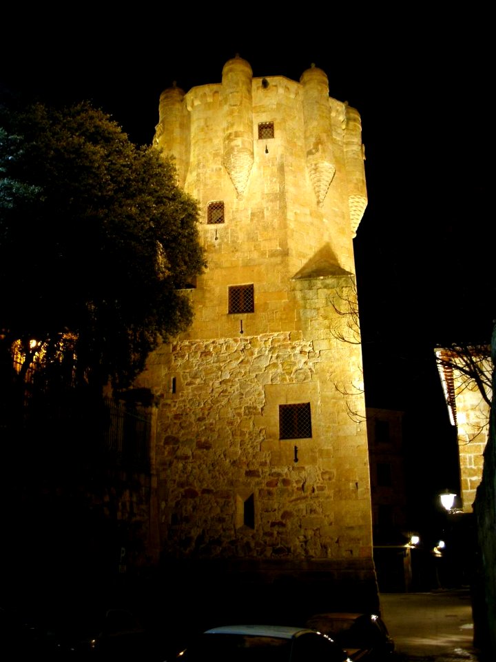 Salamanca - Torre del Clavero 1