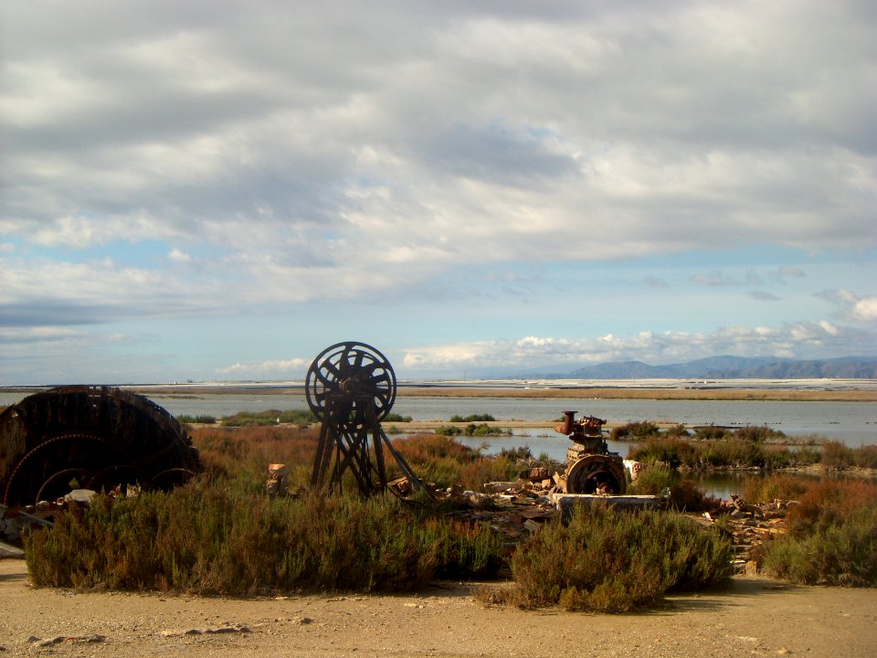 Salinas cerrillos 1