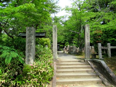 Saiun-in 008