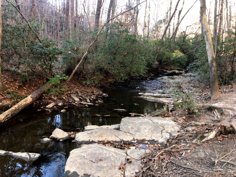 Sal's Creek Autrey Mill Nature Preserve Dec 2020 02
