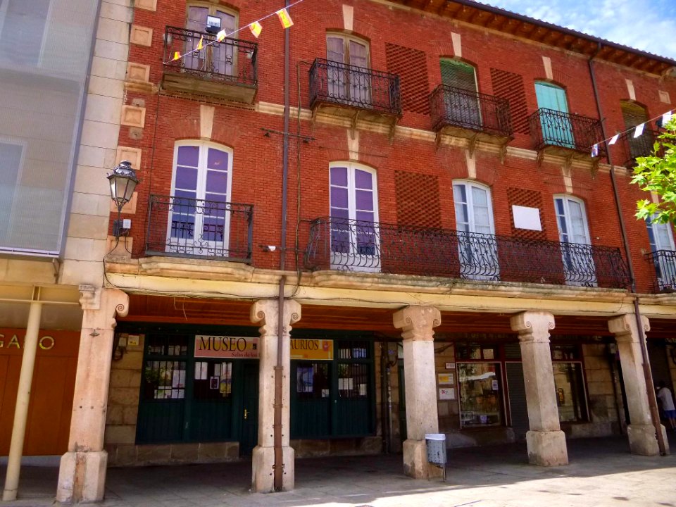 Salas de los Infantes - Museo de Dinosaurios 1