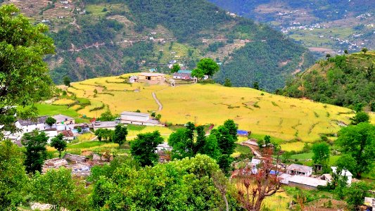 Sari Village is the starting point of Deoria Tal Trek, Uttarakhand, India