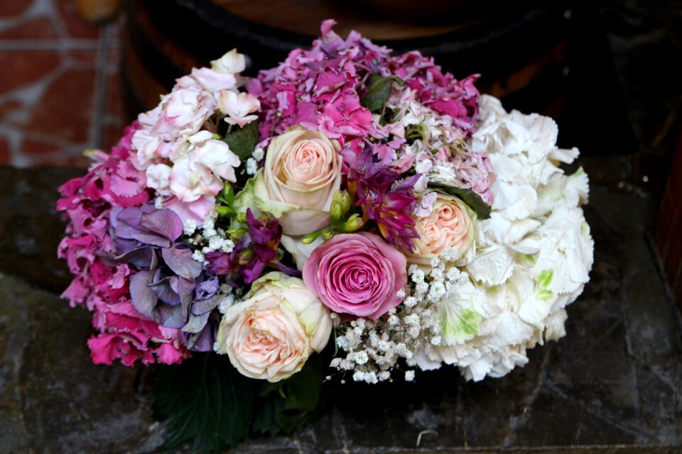 Pink white flowers