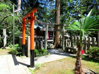 Shirakumo jinja 015