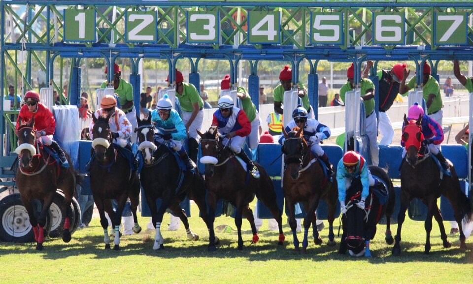 Mauritius horse jockey