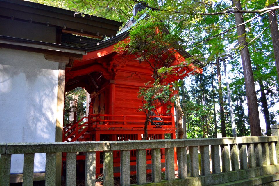 Shigariwake-jinja honden
