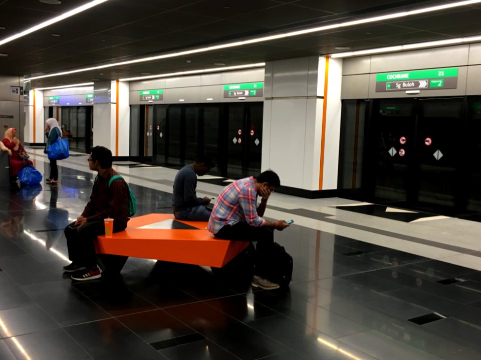 SBK Line Cochrane Station Platform 2