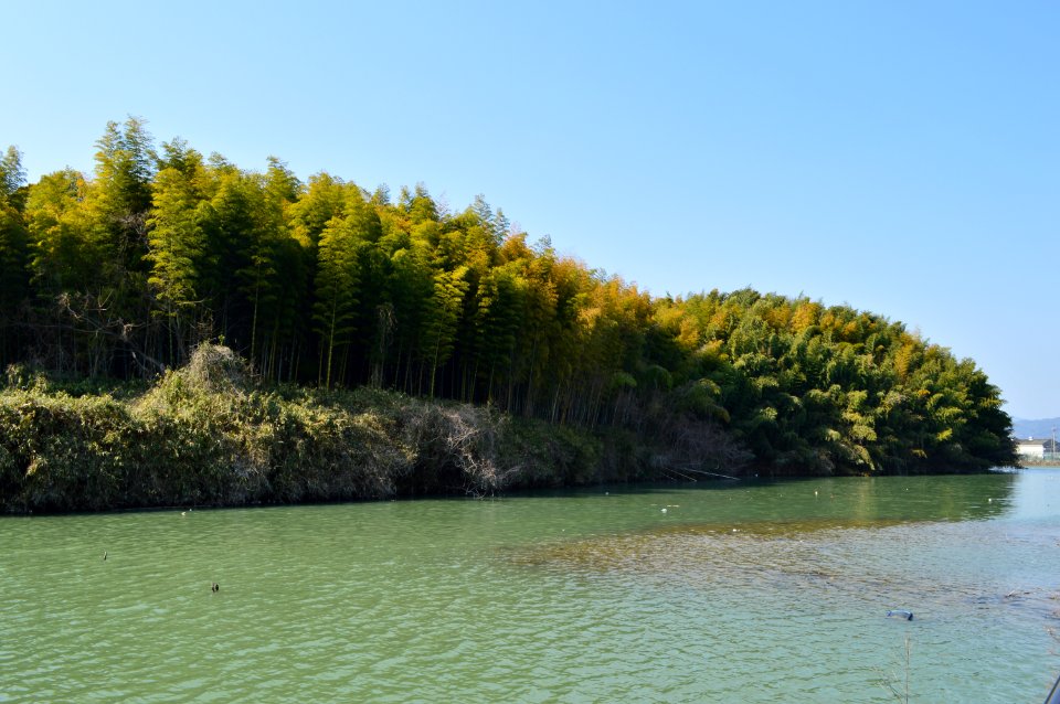 Shimanoyama Kofun, funkyu-2