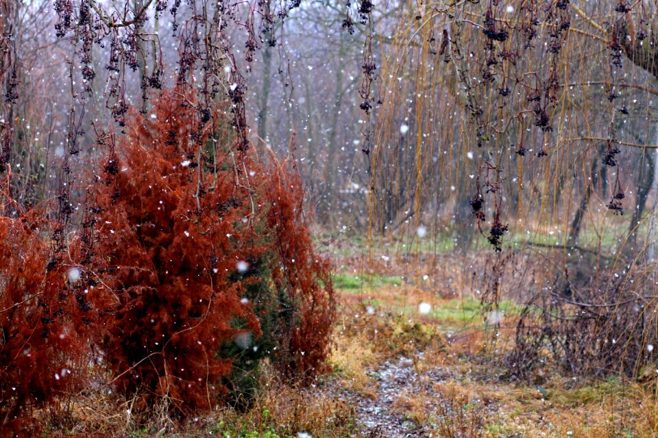 Autumn winter coloring
