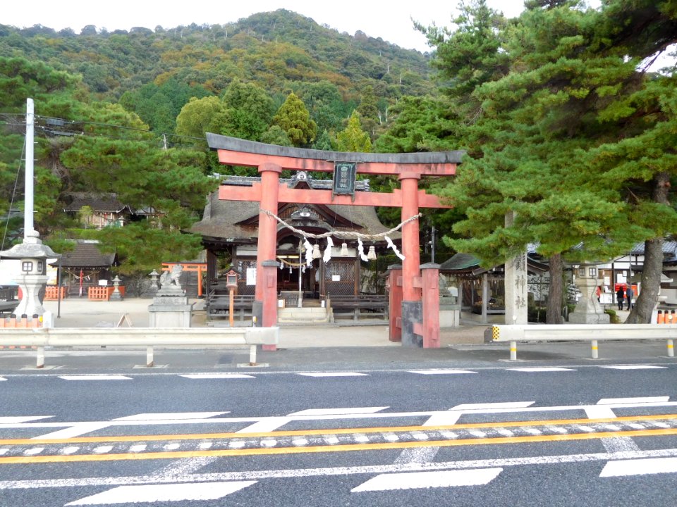 Shirahige-Jinja nov2016 05