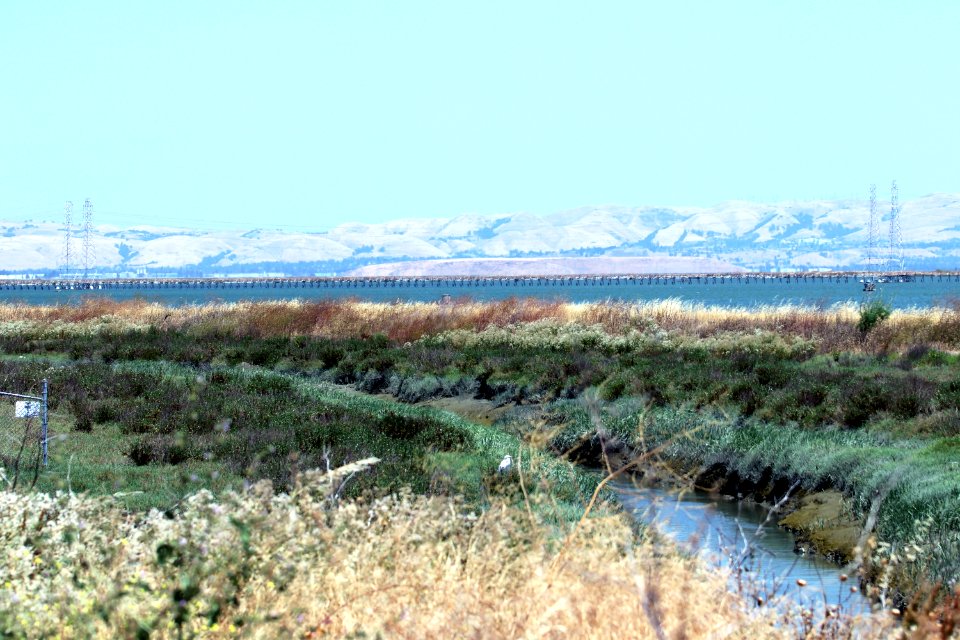 Shoreline Park Mountain View California Salt marsh IMG 2361