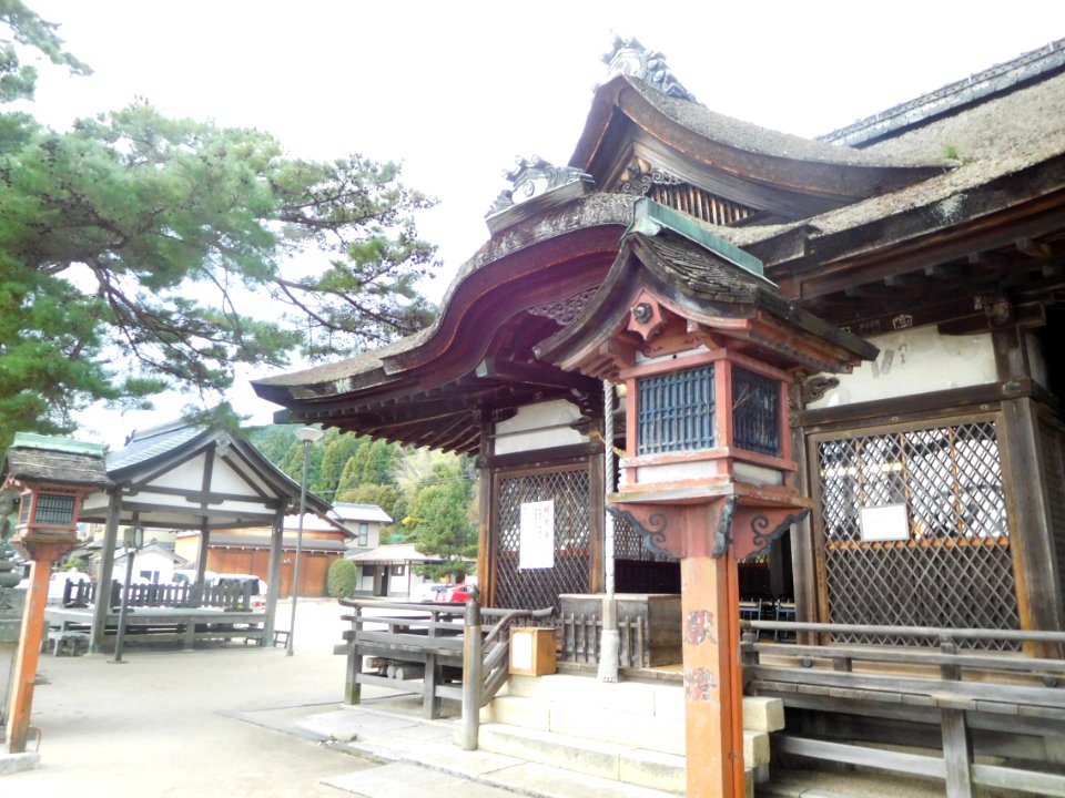 Shirahige-Jinja nov2016 14