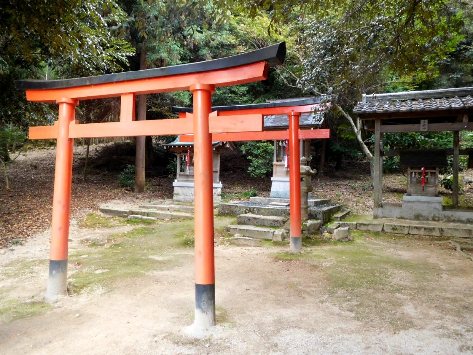 Shirahige-Jinja nov2016 22