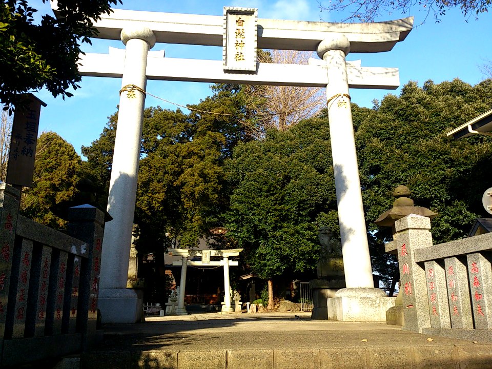 ShirahigeShrineMatsudo