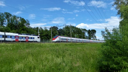SBB RABe 524 und RABe 501