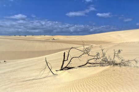 Sand dunes desert nature photo