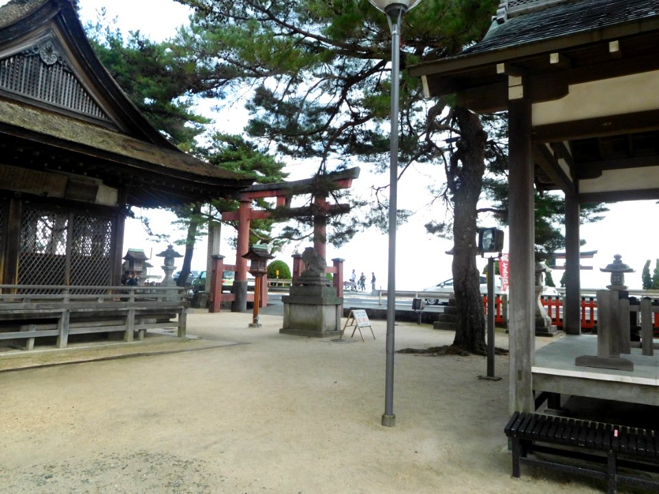 Shirahige-Jinja nov2016 13