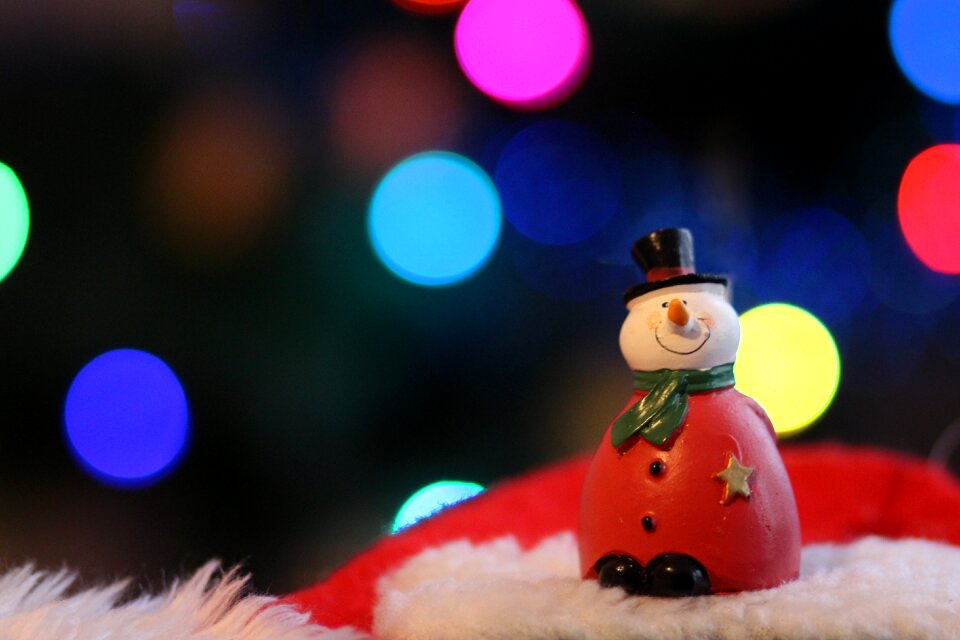 Winter christmas toy