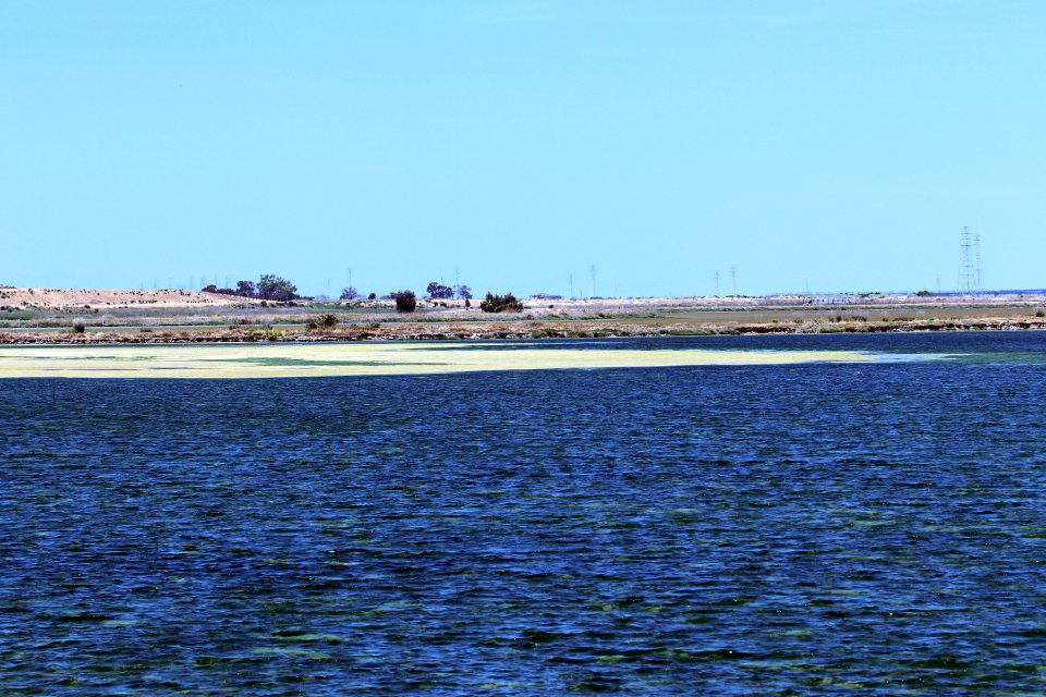 Shoreline Park Mountain View California Salt marsh IMG 2380