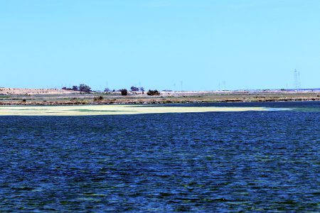 Shoreline Park Mountain View California Salt marsh IMG 2380