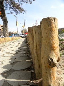 Sidewalk,Wooden pavement,Flowers 03 photo