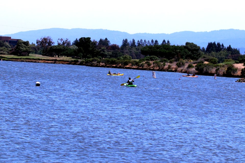 Shoreline Park Mountain View California IMG 2654